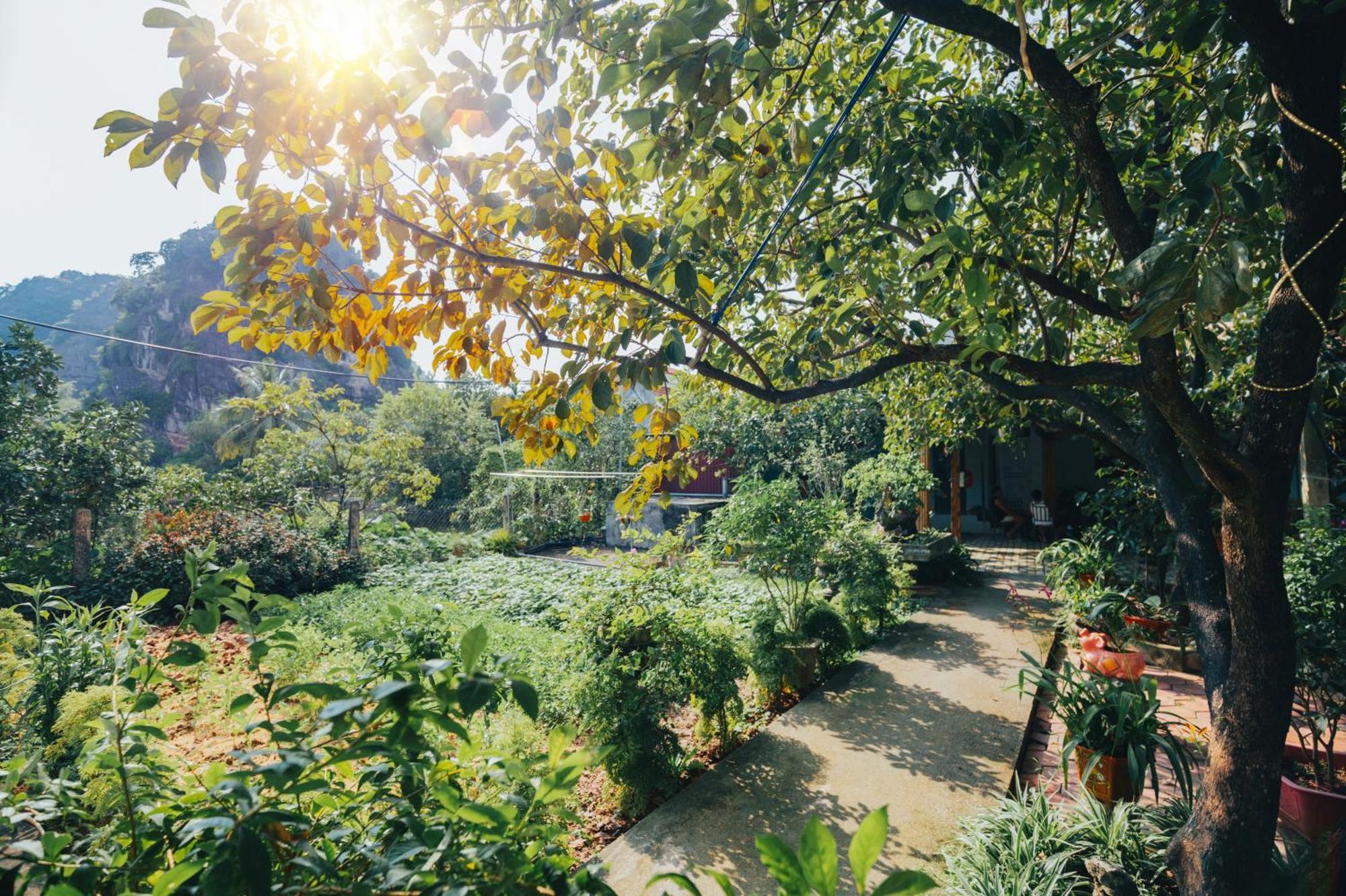 Blue Garden Homestay 宁平 外观 照片