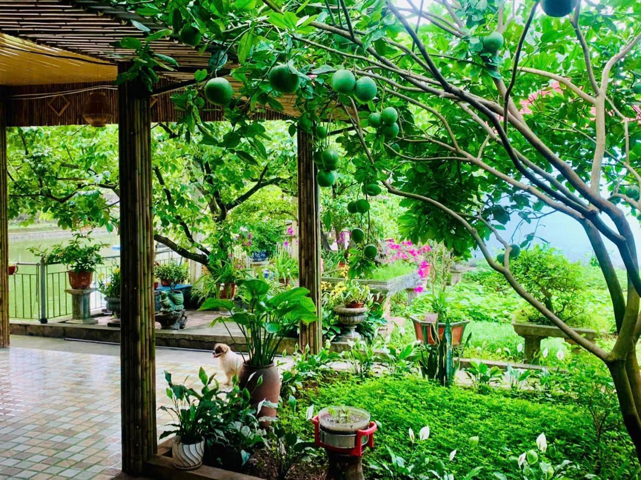 Blue Garden Homestay 宁平 外观 照片
