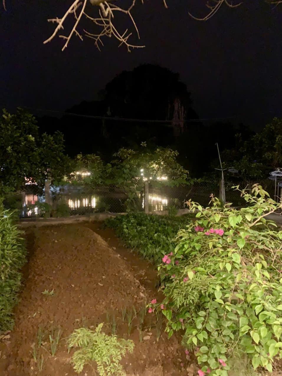 Blue Garden Homestay 宁平 外观 照片