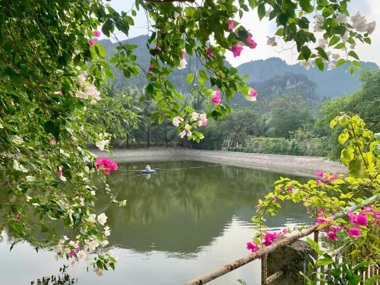 Blue Garden Homestay 宁平 外观 照片
