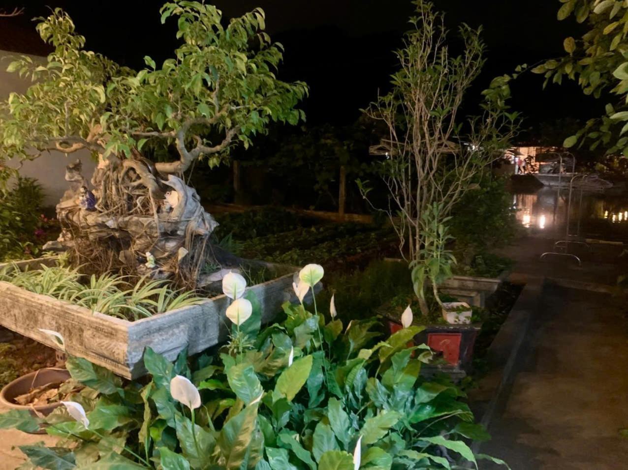 Blue Garden Homestay 宁平 外观 照片