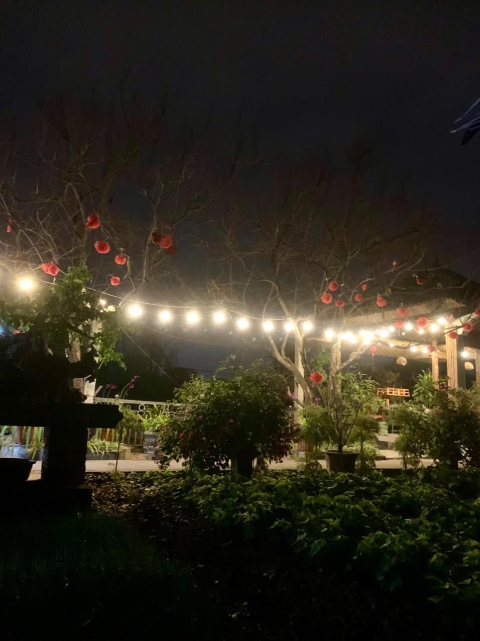 Blue Garden Homestay 宁平 外观 照片