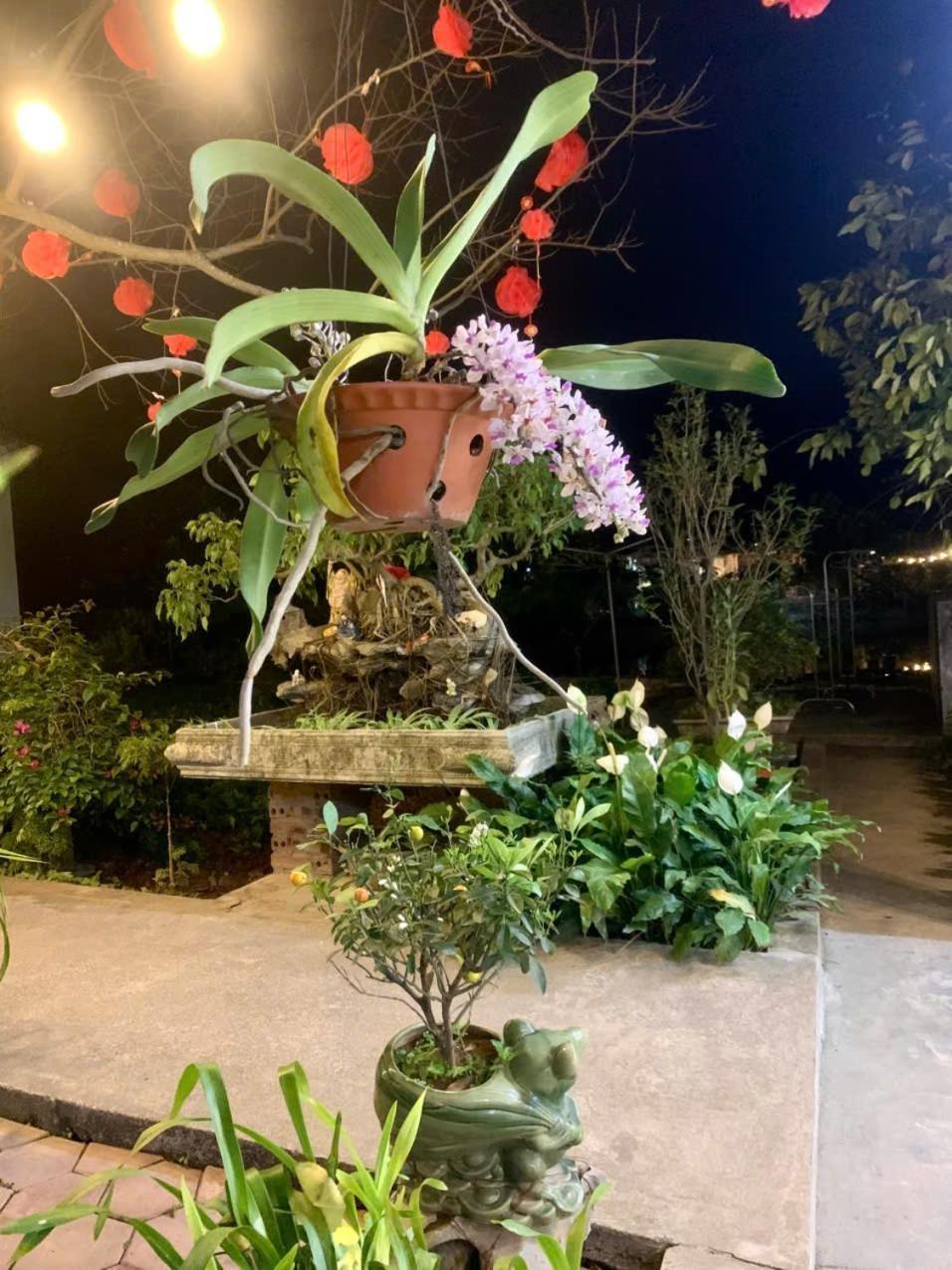 Blue Garden Homestay 宁平 外观 照片