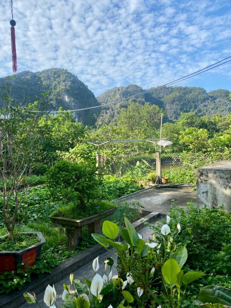 Blue Garden Homestay 宁平 外观 照片