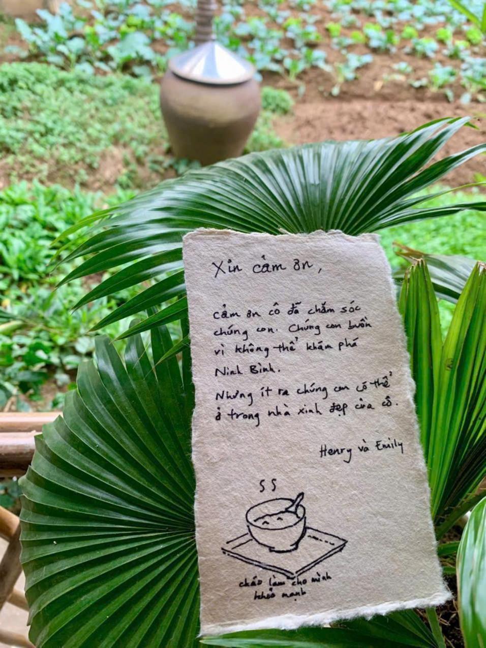 Blue Garden Homestay 宁平 外观 照片