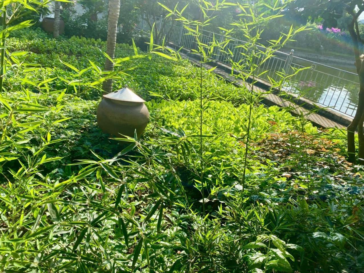 Blue Garden Homestay 宁平 外观 照片